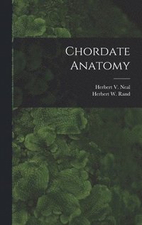 bokomslag Chordate Anatomy