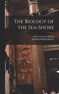bokomslag Biology of the Sea-shore