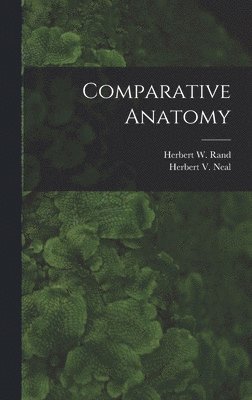 Herbert W 1872-1960 Rand, Herbert 1869-1940 Neal, Herbert W. 1872-1960 Rand - Comparative Anatomy, Inbunden