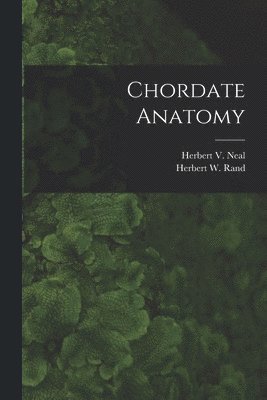 bokomslag Chordate Anatomy