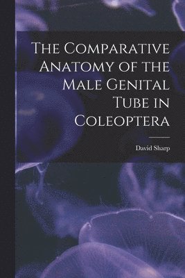 David Sharp - Comparative Anatomy of the Male Genital Tube in Coleoptera, Häftad