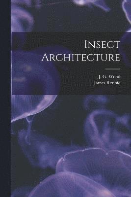 Insect Architecture 1