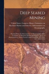 bokomslag Deep Seabed Mining