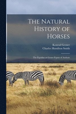 The Natural History of Horses 1