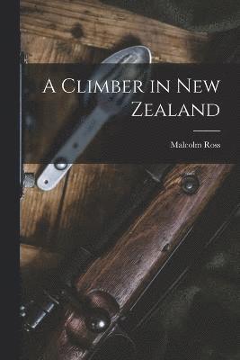 A Climber in New Zealand 1