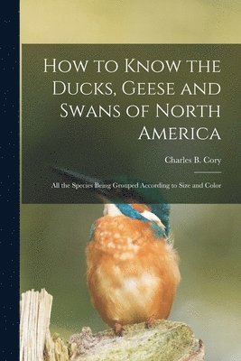 bokomslag How to Know the Ducks, Geese and Swans of North America