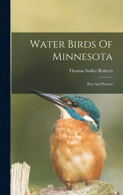 bokomslag Water Birds Of Minnesota