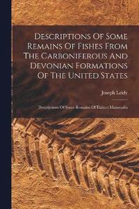 bokomslag Descriptions Of Some Remains Of Fishes From The Carboniferous And Devonian Formations Of The United States