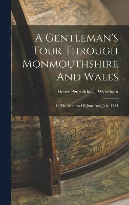 A Gentleman's Tour Through Monmouthshire And Wales 1