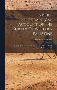 bokomslag Brief Geographical Account Of The Survey Of Western Palestine