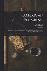 bokomslag American Plumbing