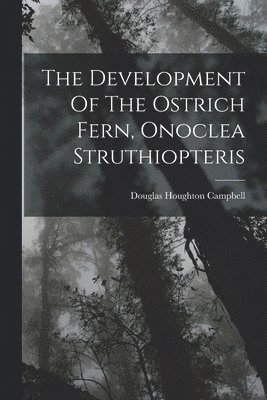 Development Of The Ostrich Fern, Onoclea Struthiopteris