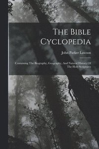 bokomslag The Bible Cyclopedia