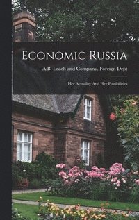 bokomslag Economic Russia