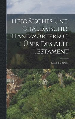 bokomslag Hebräisches Und Chaldäisches Handwörterbuch Über Des Alte Testament