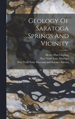 bokomslag Geology Of Saratoga Springs And Vicinity