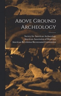 Above Ground Archeology 1