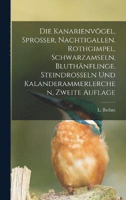 bokomslag Kanarienvögel, Sprosser, Nachtigallen, Rothgimpel, Schwarzamseln, Bluthänflinge, Steindrosseln und Kalanderammerlerchen, Zweite Auflage