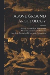 bokomslag Above Ground Archeology
