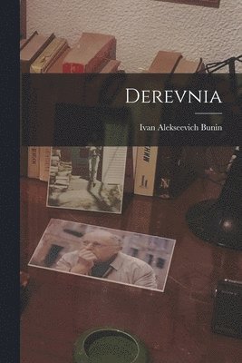 bokomslag Derevnia