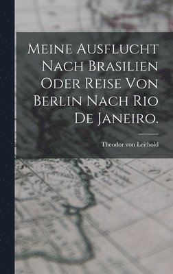 bokomslag Meine Ausflucht nach Brasilien oder Reise von Berlin nach Rio de Janeiro.