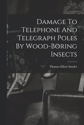 Damage To Telephone And Telegraph Poles By Wood-boring Insects 1