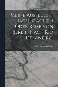 bokomslag Meine Ausflucht nach Brasilien oder Reise von Berlin nach Rio de Janeiro.