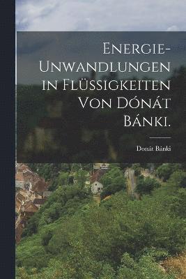 bokomslag Energie-unwandlungen in Flüssigkeiten von Dónát Bánki.