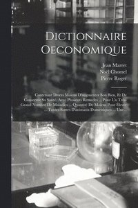 bokomslag Dictionnaire Oeconomique