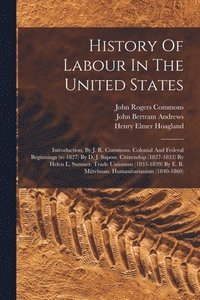 bokomslag History Of Labour In The United States