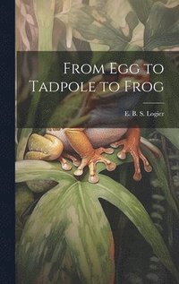 bokomslag From Egg to Tadpole to Frog
