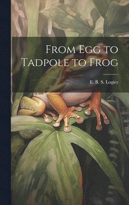 From Egg to Tadpole to Frog 1