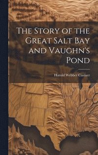 bokomslag The Story of the Great Salt Bay and Vaughn's Pond