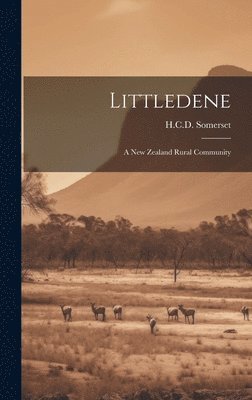 bokomslag Littledene: a New Zealand Rural Community