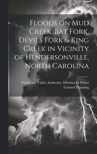 bokomslag Floods on Mud Creek, Bat Fork, Devils Fork & King Creek in Vicinity of Hendersonville, North Carolina