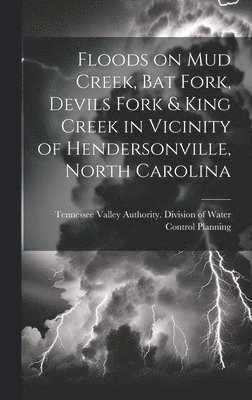 Floods on Mud Creek, Bat Fork, Devils Fork & King Creek in Vicinity of Hendersonville, North Carolina 1