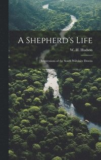bokomslag Shepherd's Life; Impressions of the South Wiltshire Downs