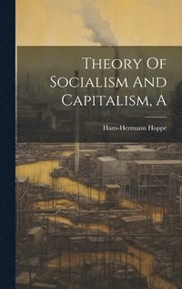 bokomslag A Theory Of Socialism And Capitalism