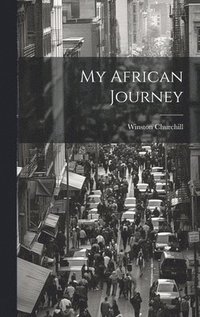 bokomslag My African Journey