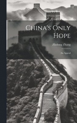 bokomslag China's Only Hope