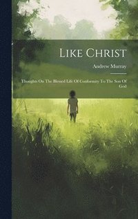 bokomslag Like Christ
