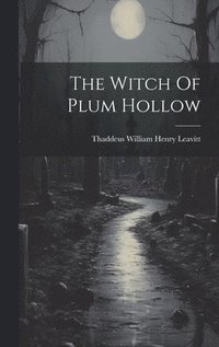 bokomslag Witch Of Plum Hollow