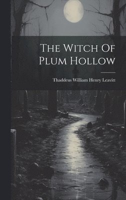 bokomslag Witch Of Plum Hollow