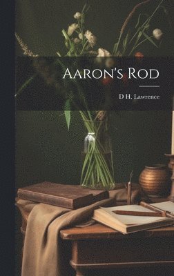 bokomslag Aaron's Rod