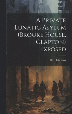 bokomslag A Private Lunatic Asylum (brooke House, Clapton) Exposed