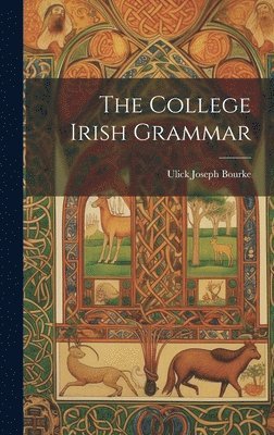 bokomslag The College Irish Grammar