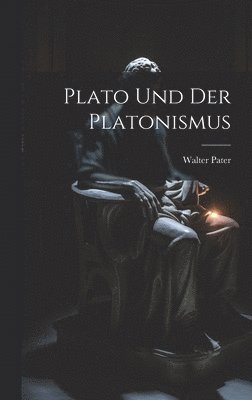 bokomslag Plato Und Der Platonismus