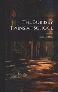 bokomslag Bobbsey Twins at School