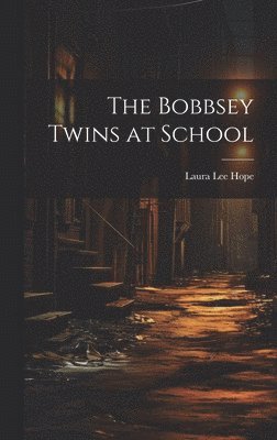 bokomslag Bobbsey Twins at School