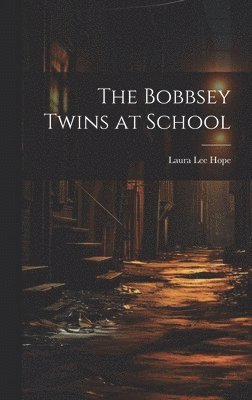 bokomslag The Bobbsey Twins at School